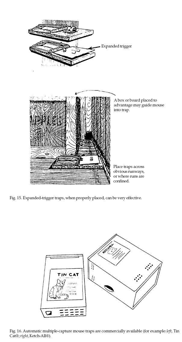 Ketchall Wind up Mouse Trap