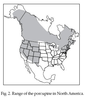 north american porcupine range