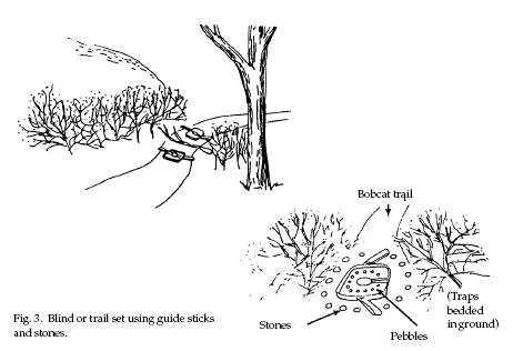 Dynamite Snares & Snaring