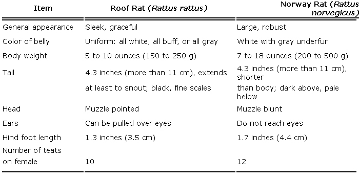 Figure 5 from Bait stations as a means of rodenticide presentation to  control Columbian ground squirrels